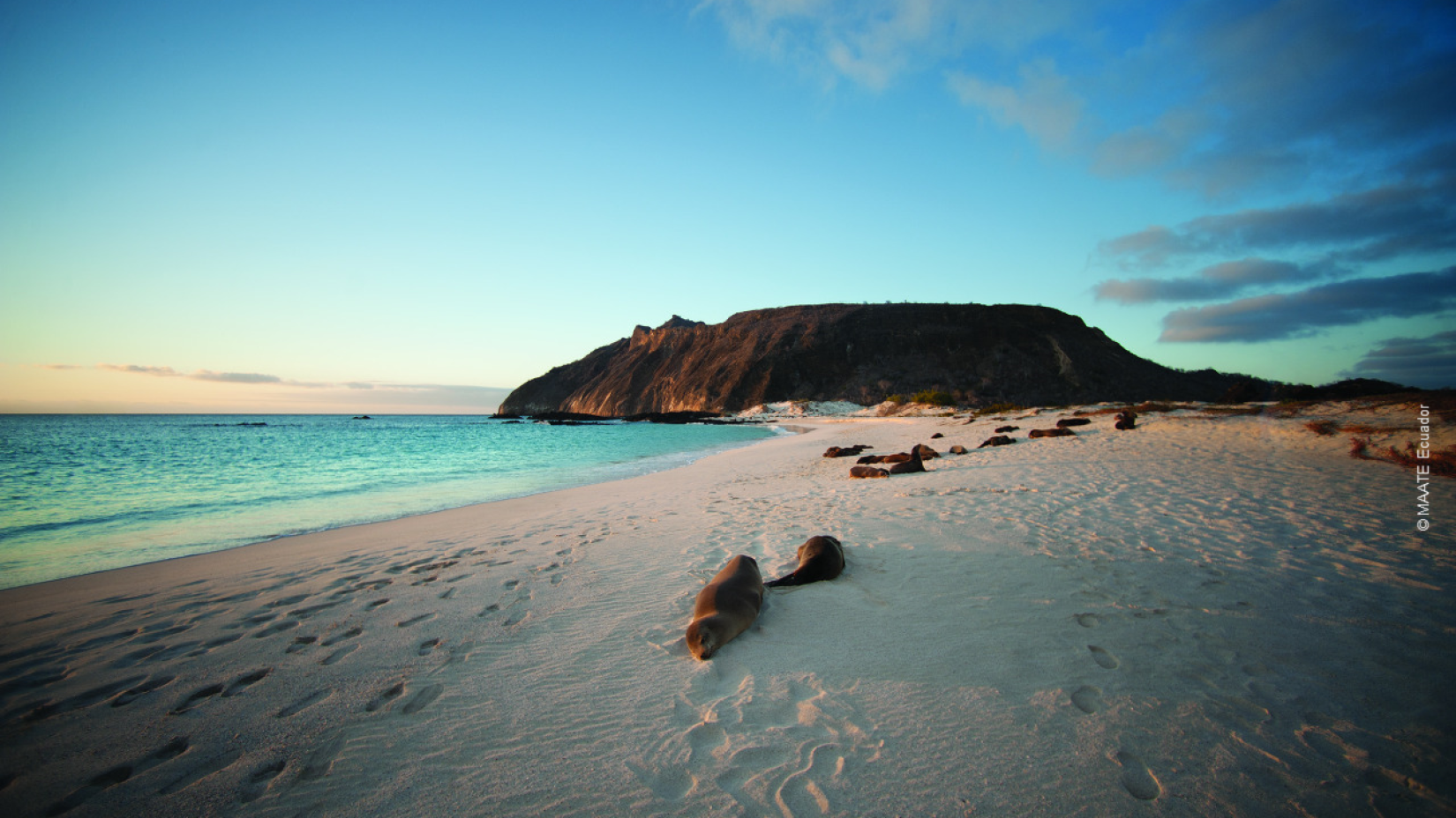 Detalle de una playa correspondiente al archipiélago de las Islas Galápagos