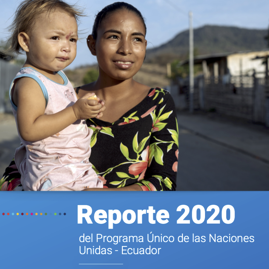 Detalle de la portada del Reporte 2020 del Programa Único de las Naciones Unidas Ecuador