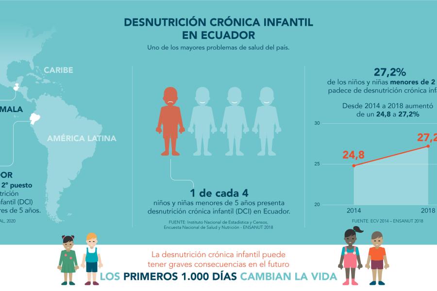 Desnutrición Crónica Infantil Naciones Unidas En Ecuador 5785