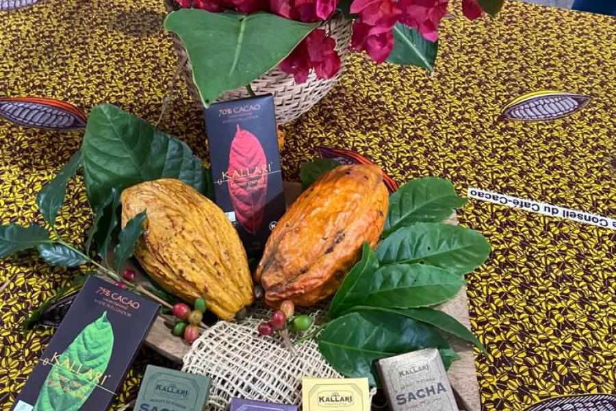 Imagen de diversos productos resultantes de la producción sostenible de cacao en Tena, Ecuador