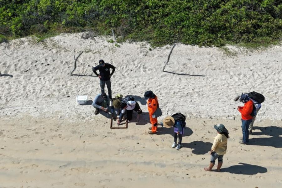 Imagen curso capacitación IAEA en Galápagos en 2024